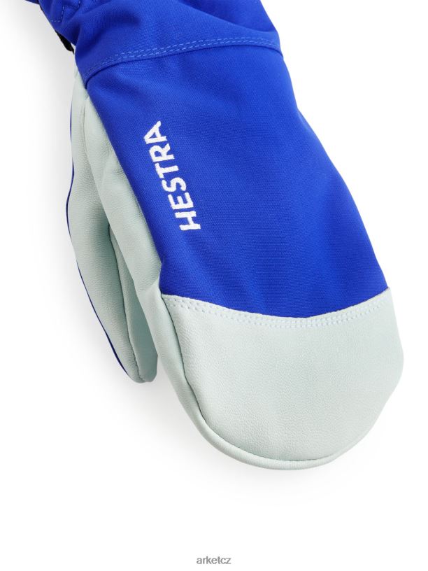 ženy ARKET hestra armádní kožené lyžařské rukavice Příslušenství jasně modrá/bílá J8R2D883